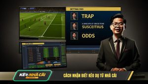 Cách Nhận Biết Kèo Dụ Từ Nhà Cái