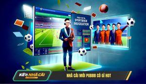 Nhà Cái Mới Pub88 Có Gì Hot
